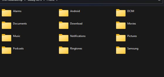 Мои файлы на телефоне: папки, среди них Download